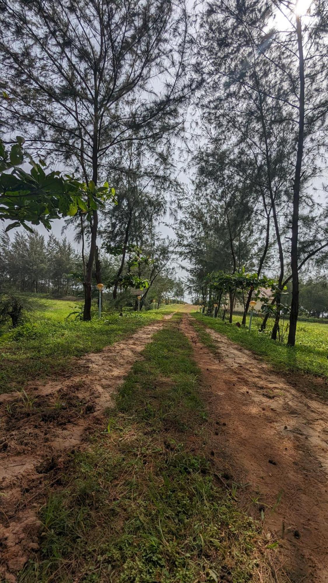 5 Mile Beach Resort Kumta Exterior foto